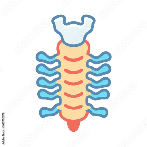 Icon of anatomy in medical science