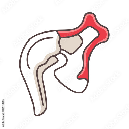 Icon of anatomy in medical science