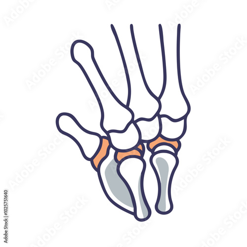 Icon of anatomy in medical science