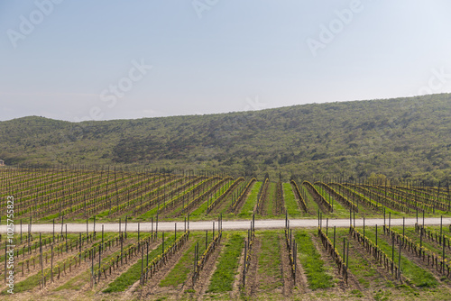 Gravity winery Rocky Shore. Anapa. Russia. 14.04.2024