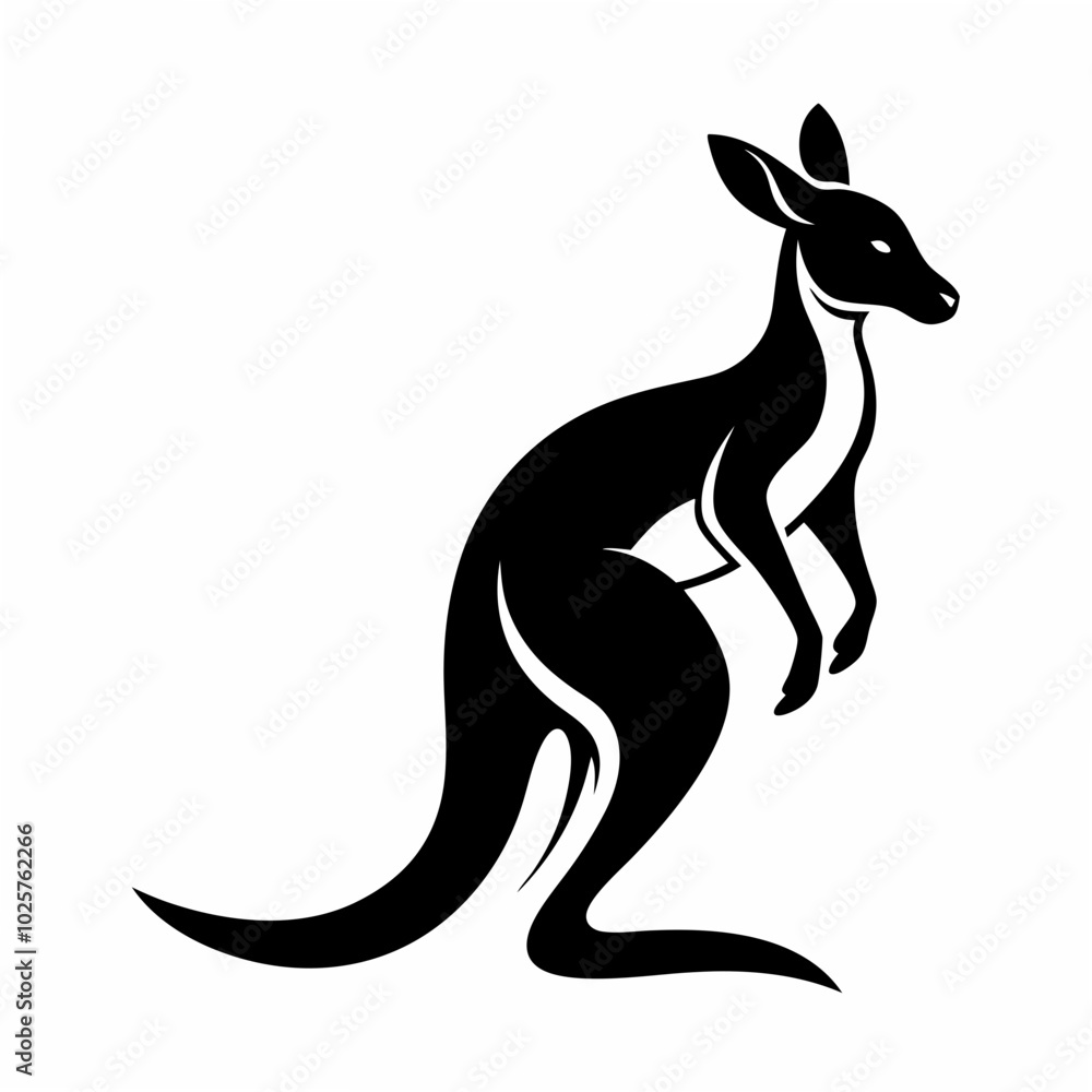 kangaroo kangaroo