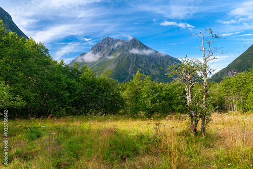 A breathtaking view reveals a towering mountain shrouded in clouds, surrounded by lush trees and vibrant grass under a clear blue sky.