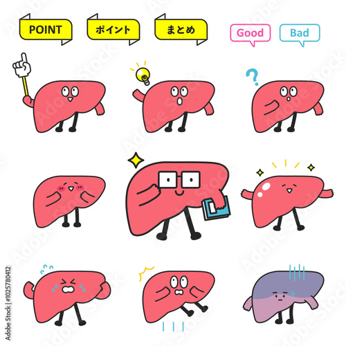 肝臓のキャラクターイラスト