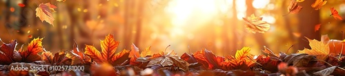 Sunlit autumn leaves, warm golden tones, and falling foliage.