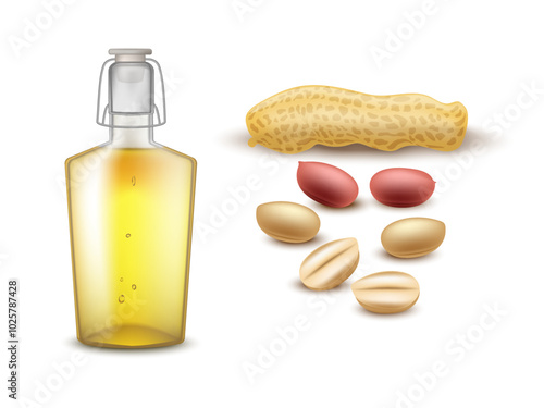 Realistic glass bottle peanut oil with peanut seeds and peanut pods on white background for advertising, web and etc.