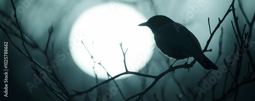 A Solitary Black Bird Perched on a Branch Against a Bright Moon
