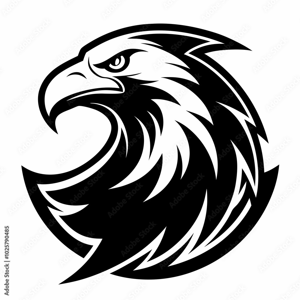 Fototapeta premium Eagle