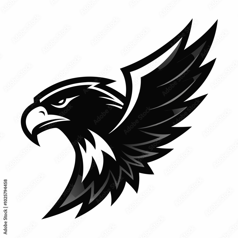 Fototapeta premium Eagle 