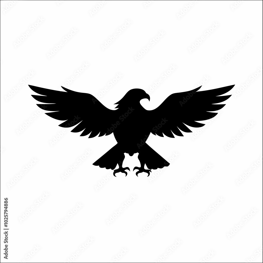 Fototapeta premium Eagle 