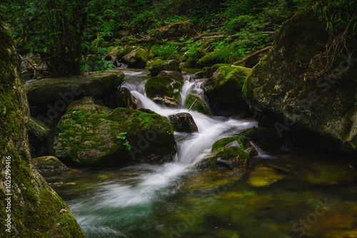 waterfall in the forest