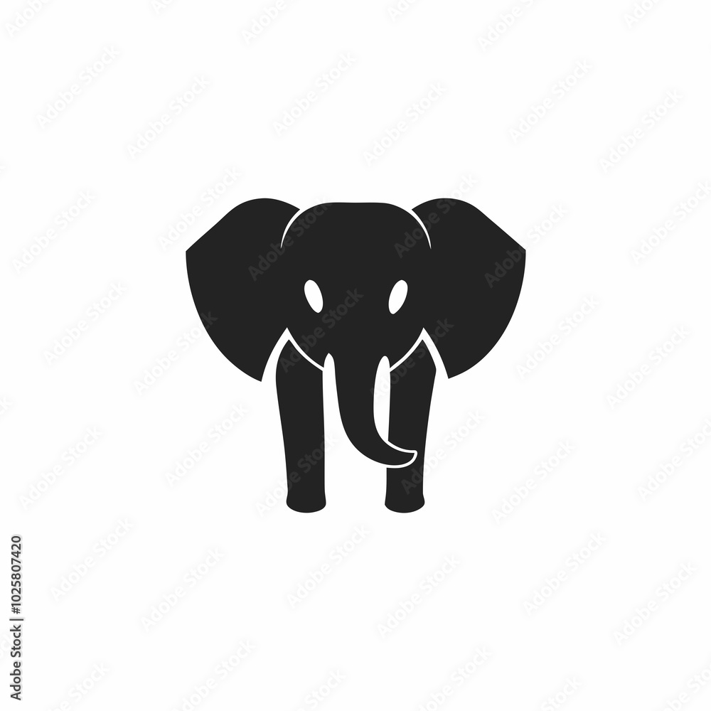 Fototapeta premium Elephant 