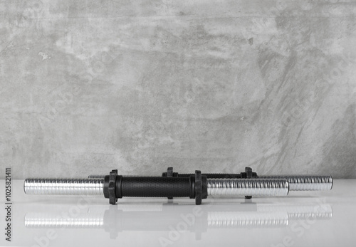 Fotomural Sport and fitness - Front view teo dumbbell bar