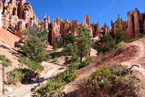 Bryce canyon