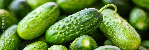  A stack of cucumbers atop one another, forming a mound photo