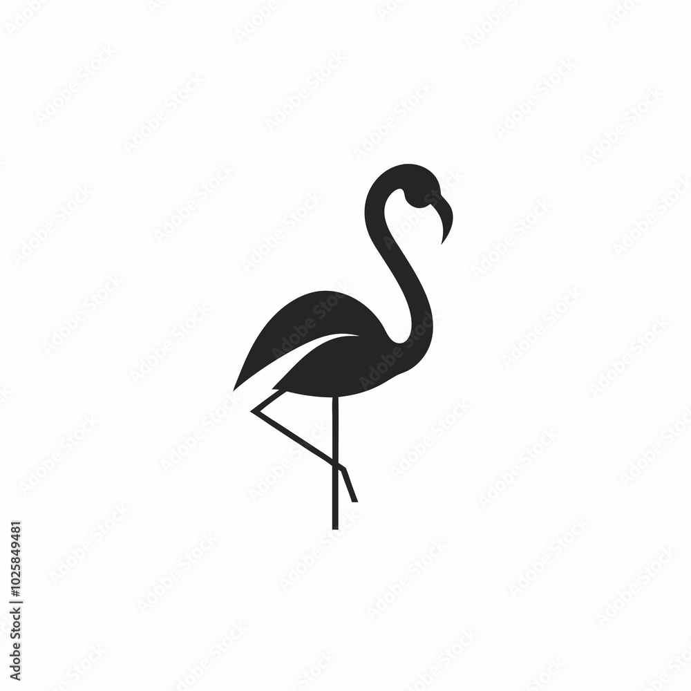 Fototapeta premium FLAMINGO