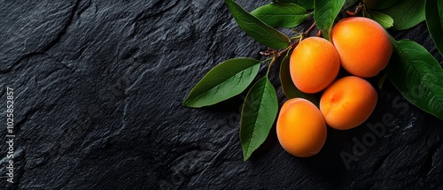  Abranch with ripe apricots nestled among green leaves, resting on a black stone surface photo