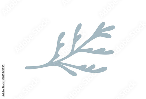 Simple hand drawn green branch cypress with round smooth leaves. Floral design winter element isolated on white background. Vector illustration