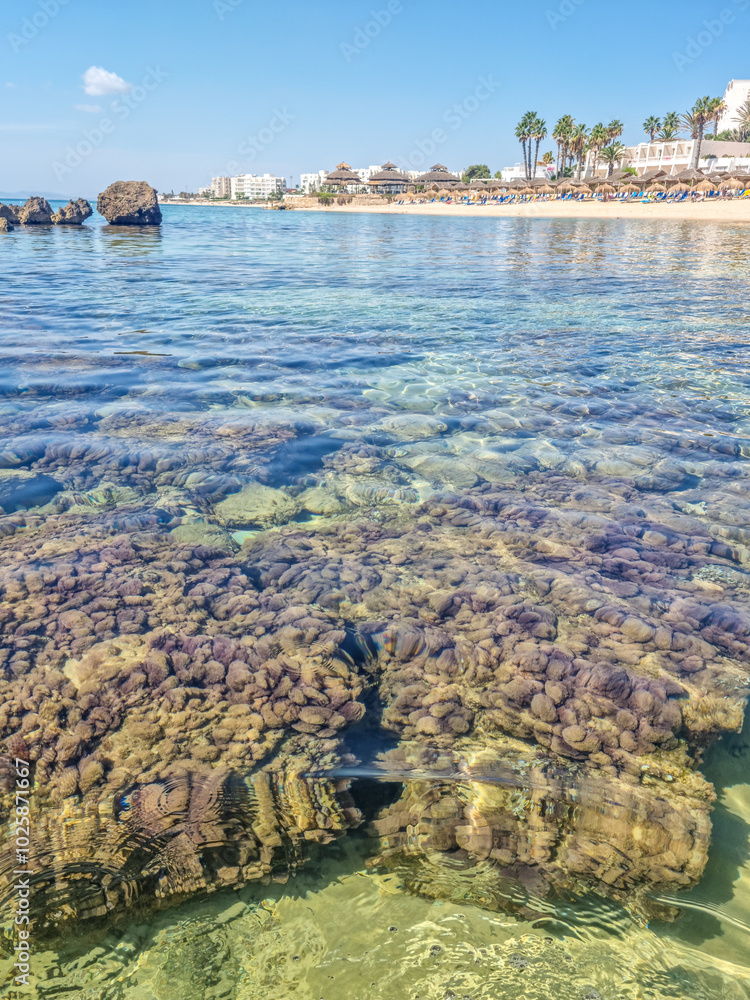 Naklejka premium Landscape in a beach in Hammamet, Tunisia