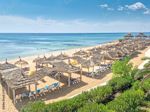 Canvastavla Landscape in a beach in Hammamet, Tunisia