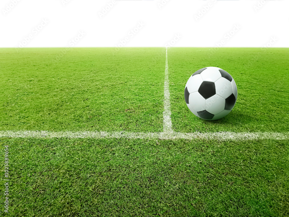 Soccer ball on green grass field Soccer ball on green grass field