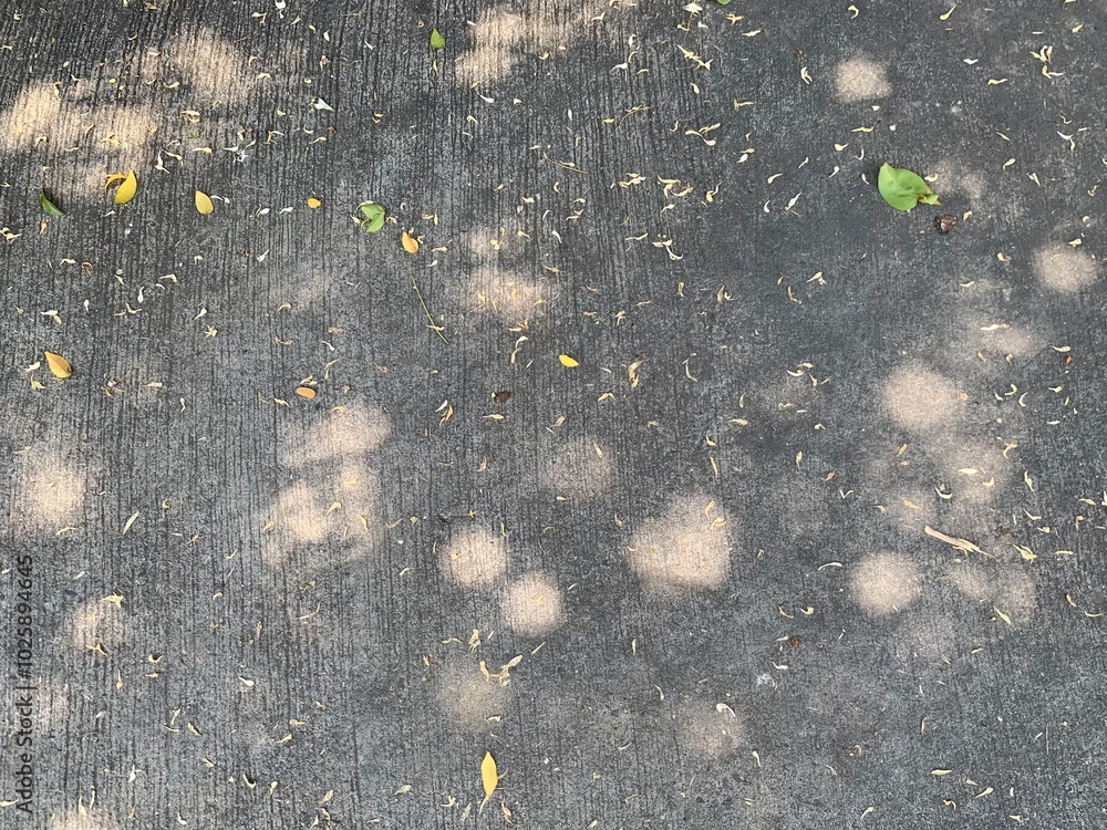 Obraz premium texture with a background, Black gray cement road with autumn green yellow leaves