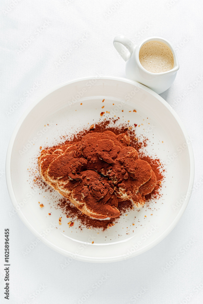 tiramisu cake with sauce on plate tiramisu cake with sauce on plate