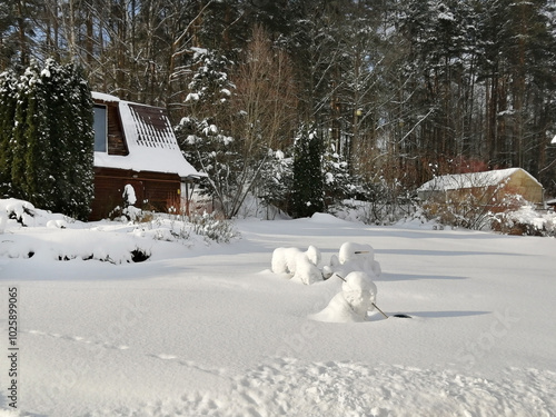 winter in the garden, snowy day