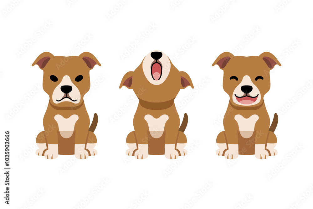 Set of vector cartoon character pit bull terrier dog for design. Set of vector cartoon character pit bull terrier dog for design.