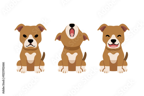 Set of vector cartoon character pit bull terrier dog for design.