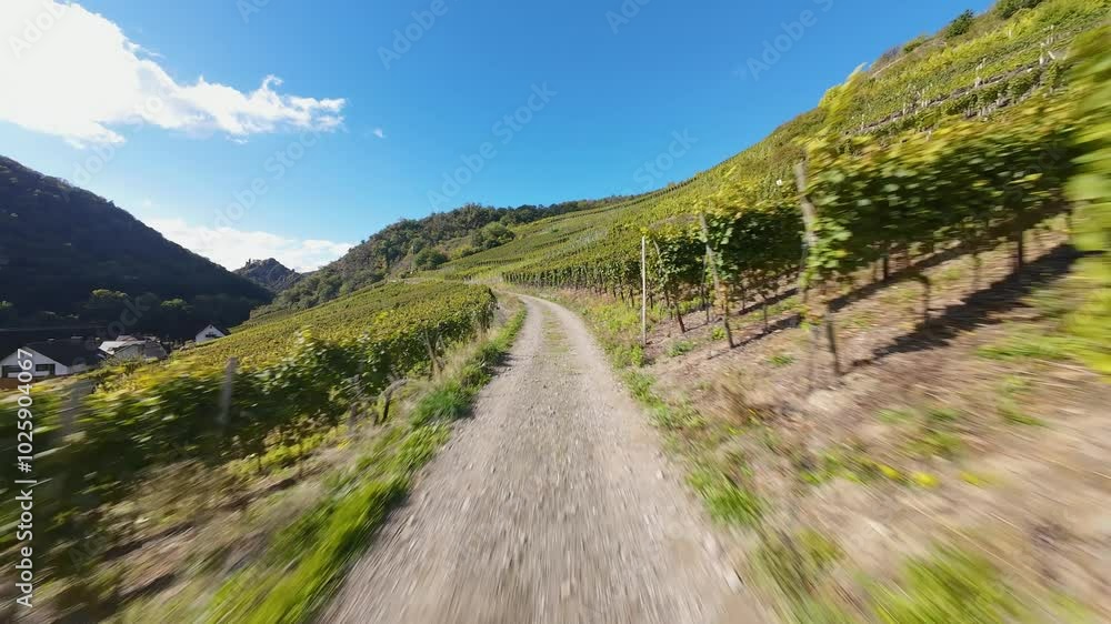 Ahr valley vineyard, FPV aerial drone view. Ahr valley vineyard, FPV aerial drone view.
