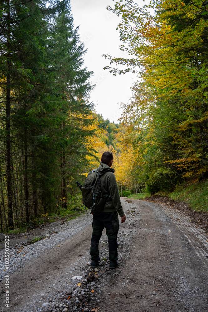 Fototapeta premium Man, forest, Trail, path, road, autumn, hike, hiking