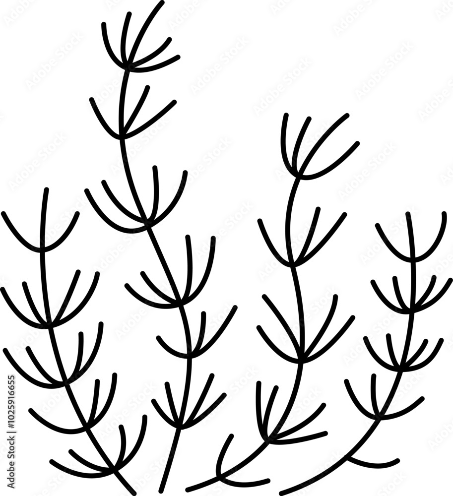 Black and white fern leaves icon. Forest or woodland plant clipart isolated on white background. Botanical foliage design element. Simple greenery branch line illustration for kids Black and white fern leaves icon. Forest or woodland plant clipart isolated on white background. Botanical foliage design element. Simple greenery branch line illustration for kids