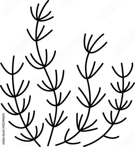 Black and white fern leaves icon. Forest or woodland plant clipart isolated on white background. Botanical foliage design element. Simple greenery branch line illustration for kids