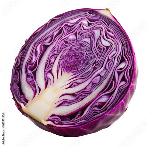 purple cabbage slice on alpha layer isolated on transparent background