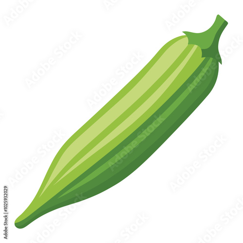 Okra vector illustration isolated on a white background