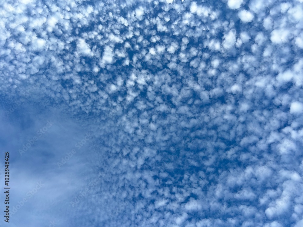 blue sky with white cloud background blue sky with white cloud background