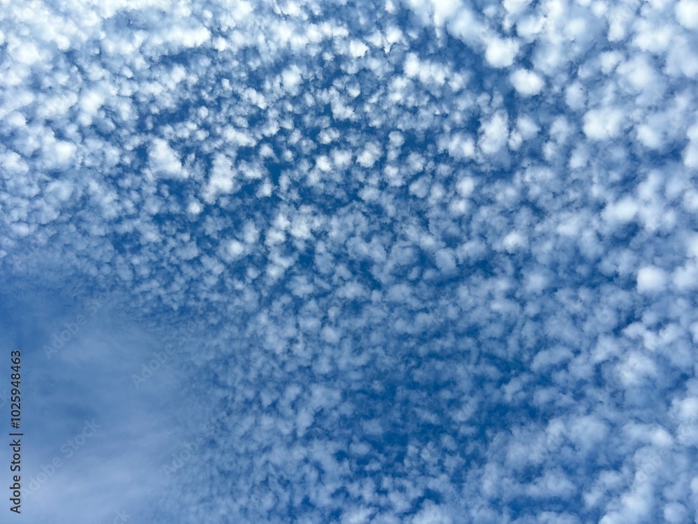 blue sky with white cloud background blue sky with white cloud background