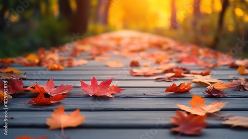 A wooden path strewn with autumn leaves leading towards a warm, sunlit forest. photo