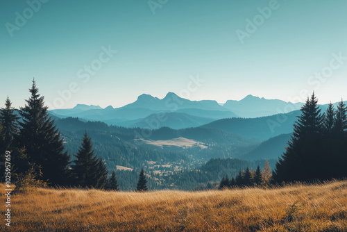 landscape in the mountains