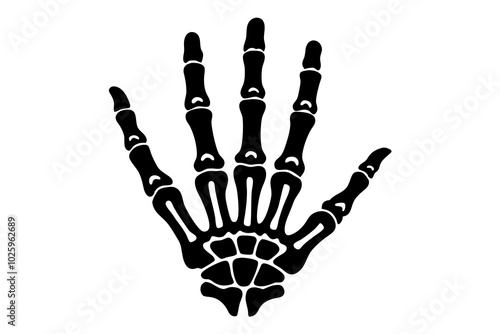 Skeleton hand gesture, isolated vector skeletal arm, stripped of flesh and muscle, reveals the intricate structure of bones, joints, and delicate phalanges, a testament to the human body complexity