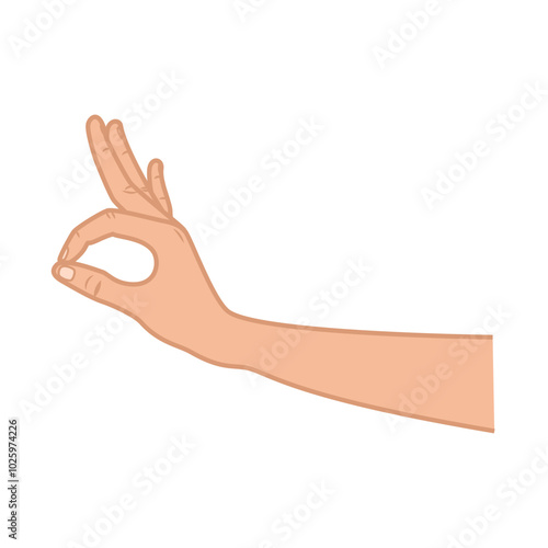 ok hand gesture illustration 