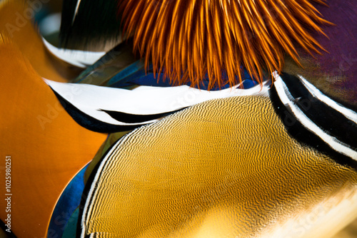 Vibrant Close-Up of Mandarin Duck Feathers photo