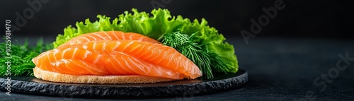 Fresh salmon fillets with lettuce on a black slate plate, isolated on dark background.