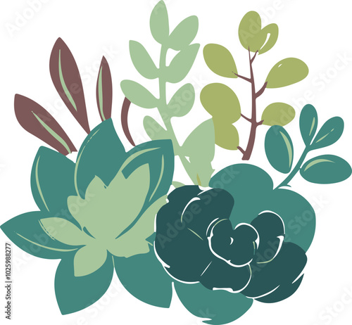 Stylized Vector Succulent Plants Arrangement photo