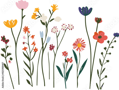 Colorful Vector Flowers with Vibrant Green Stems