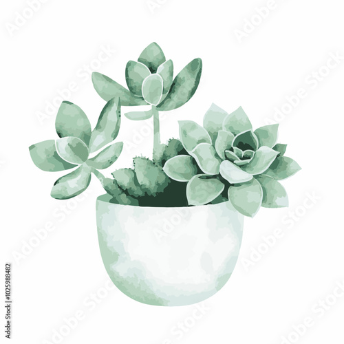 Elegant Green Succulents in Modern Pot Design