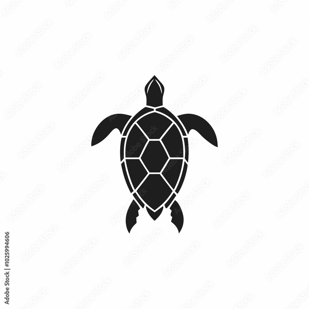 Obraz premium Hawksbill Turtle