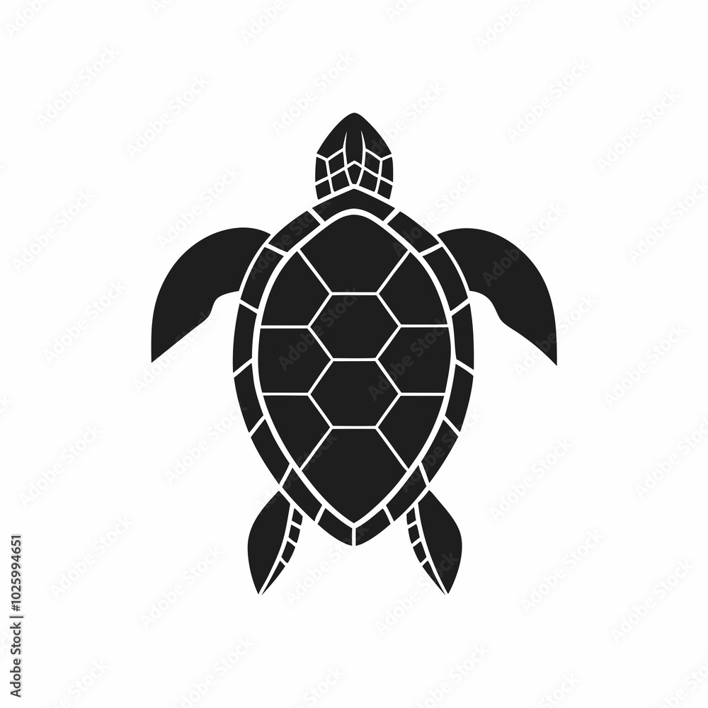 Obraz premium Hawksbill Turtle