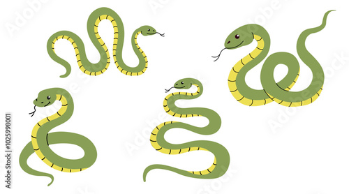 Set of funny green snake cartoon. Vector illustration. Symbol of 2025