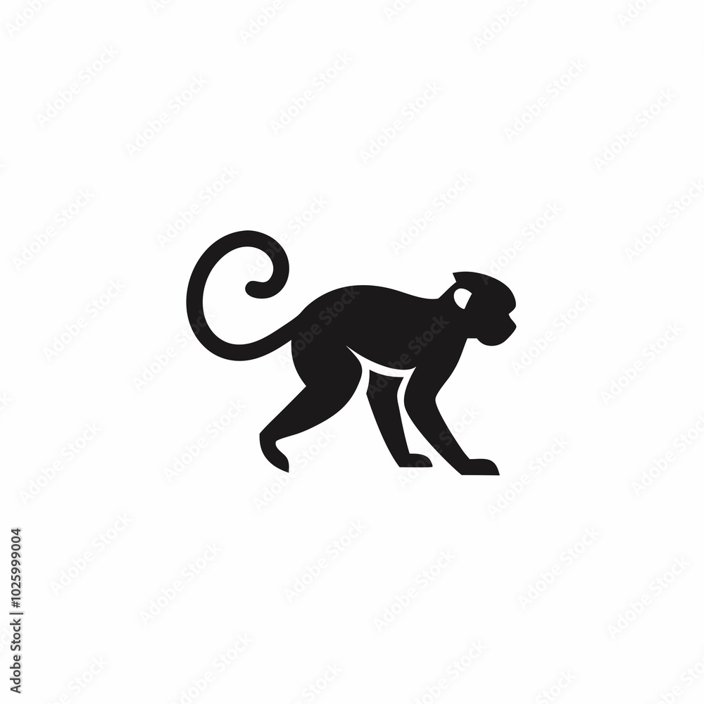 Obraz premium monkey